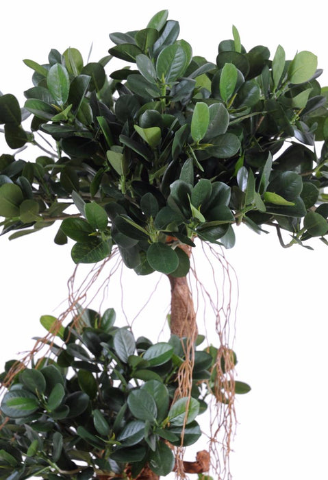 Konstgjord Ficus Microcarpa 170Cm Inomhusväxt