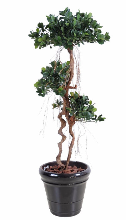 Konstgjord Ficus Microcarpa 170Cm Inomhusväxt