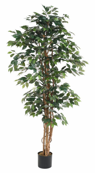 Konstgjord Ficus Multi-Stams 190 Cm Grön Växt