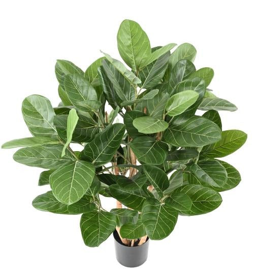 Konstgjord Ficus Audrey 100Cm I Dekorativ Kruka