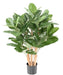 Konstgjord Ficus Audrey 100Cm I Dekorativ Kruka