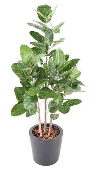 Ficus Audrey Artificiell 150 Cm Inomhusväxt