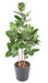 Ficus Audrey Artificiell 150 Cm Inomhusväxt