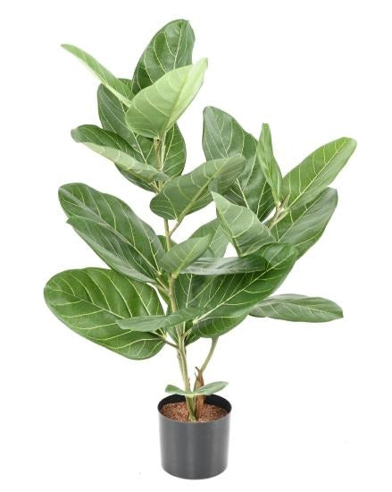 Konstgjord Ficus Audrey 62Cm Inomhusväxt