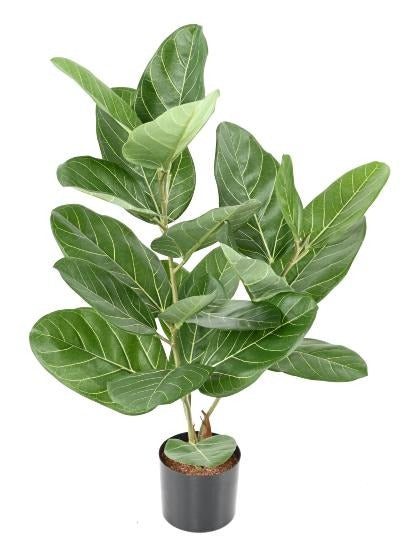 Konstgjord Ficus Audrey 62Cm Inomhusväxt