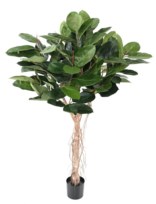 Artificiell Ficus Elastica För Inredning 160Cm