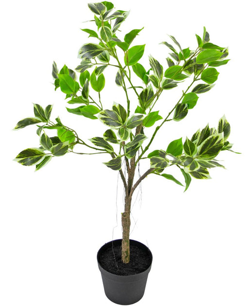 Ficus Henryi - Konstgjord Grön Växt