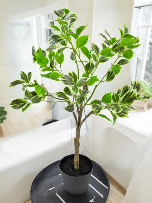 Ficus Henryi - Konstgjord Grön Växt