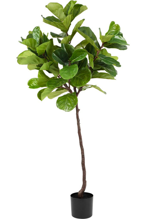 Ficus Lyrata - Konstgjorda Träd