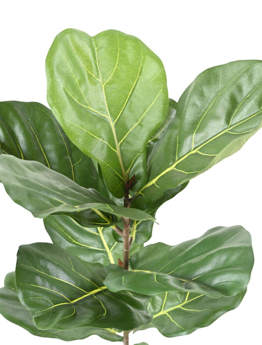 Konstgjord Ficus Lyrata 100Cm Grön För Inomhus