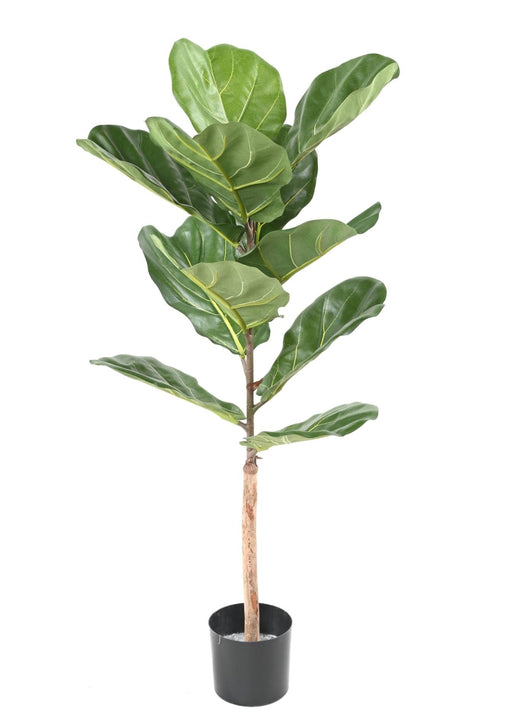 Konstgjord Ficus Lyrata 100Cm Grön För Inomhus