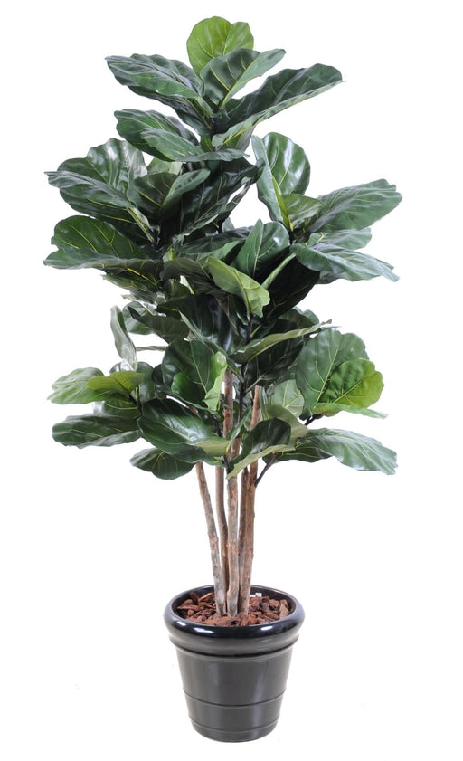 Konstgjord Ficus Lyrata 190 Cm Inomhusväxt