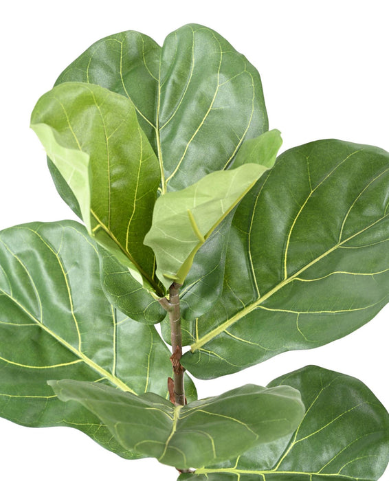 Konstgjord Ficus Lyrata 75 Cm Inomhusväxt