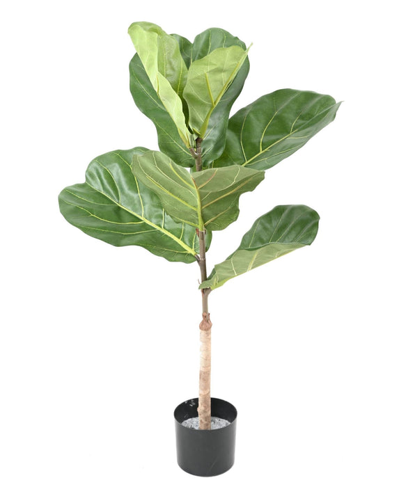 Konstgjord Ficus Lyrata 75 Cm Inomhusväxt