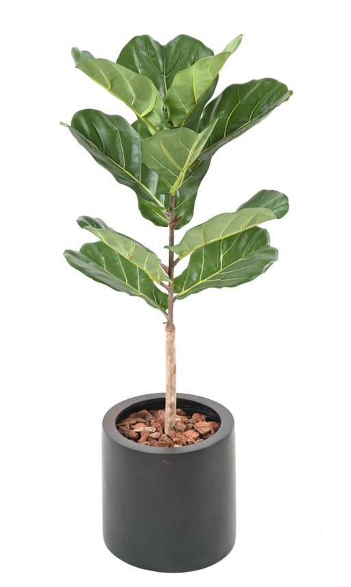 Konstgjord Ficus Lyrata 75 Cm Inomhusväxt