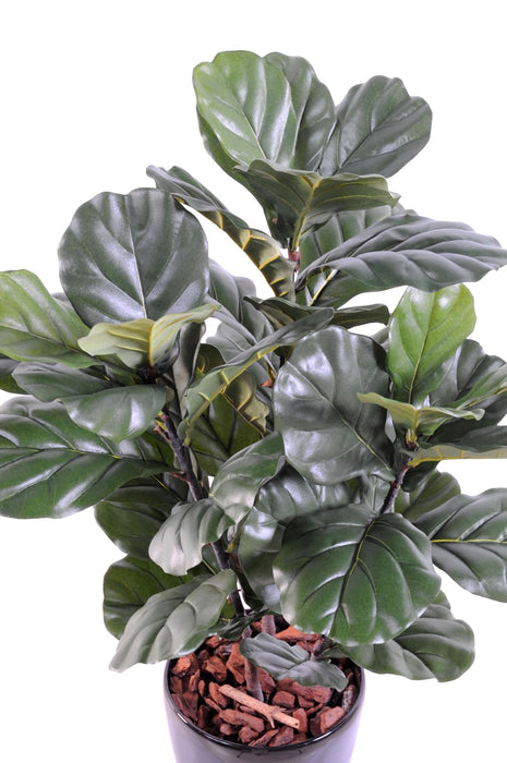 Konstgjord Ficus Lyrata 90 Cm Inomhus Grön Växt