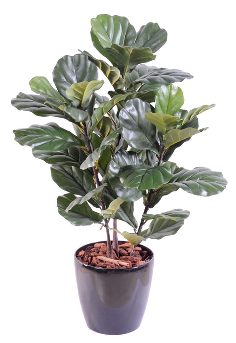 Konstgjord Ficus Lyrata 90 Cm Inomhus Grön Växt