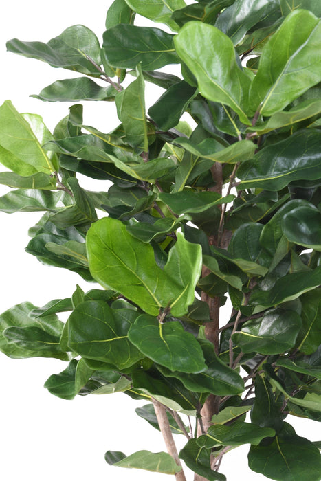 Konstgjord Ficus Lyrata H.180Cm Dekorativ Växt