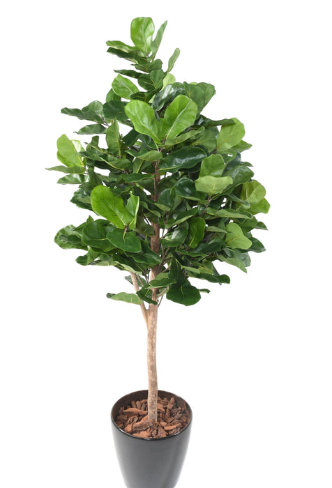 Konstgjord Ficus Lyrata H.180Cm Dekorativ Växt