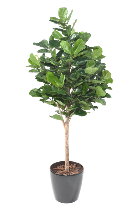 Konstgjord Ficus Lyrata H.180Cm Dekorativ Växt