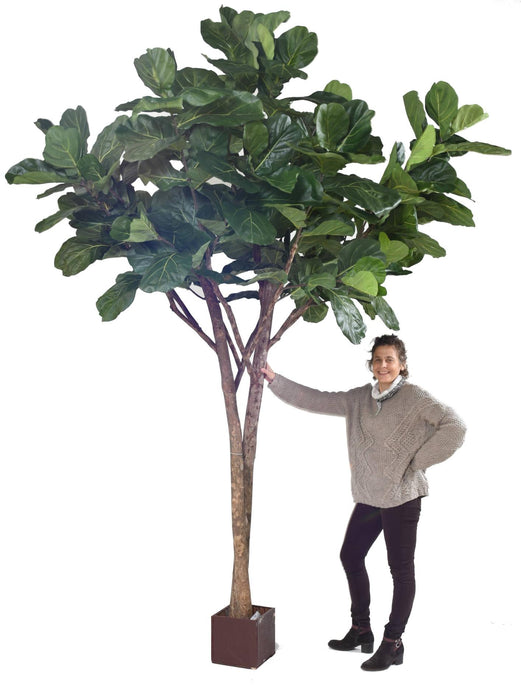 Konstgjord Ficus Lyrata För Inomhus 340 Cm