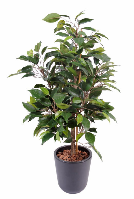 Konstgjord Ficus Natasja 60 Cm Inomhusväxt