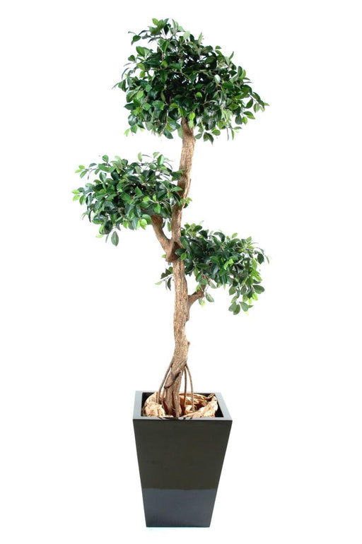 Konstgjord Ficus Retusa 150 Cm Syntetisk Växt