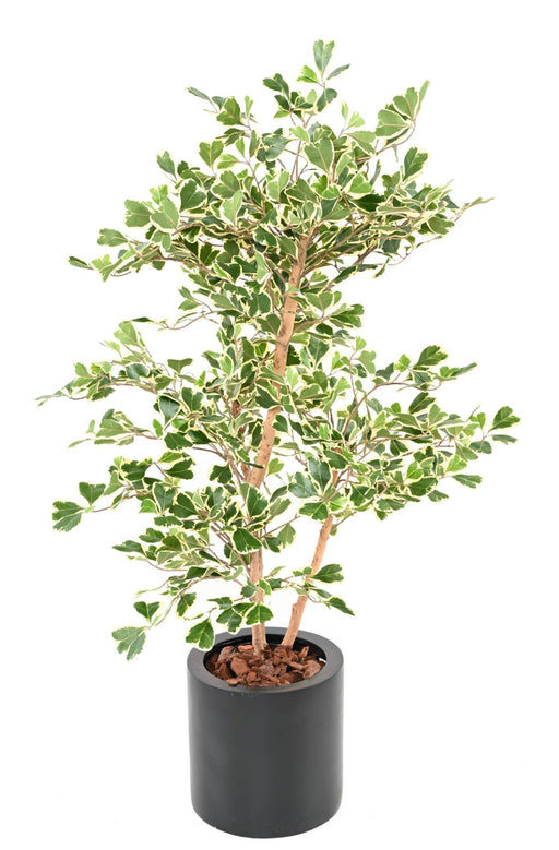 Konstgjord Ficus Triangularis H120 Cm Inomhusväxt