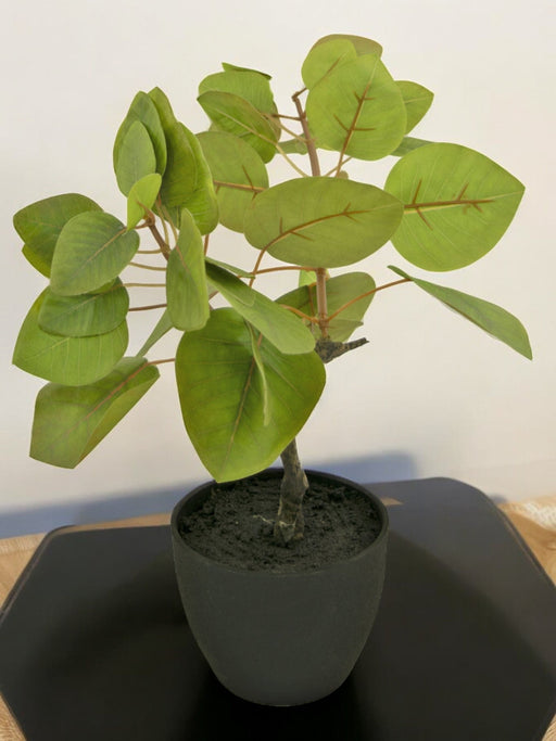 Ficus Tropica - Konstgjord Grön Växt