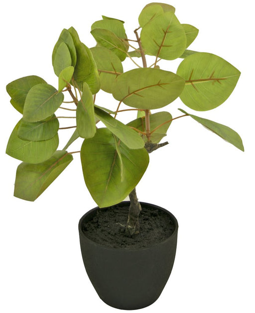 Ficus Tropica - Konstgjord Grön Växt