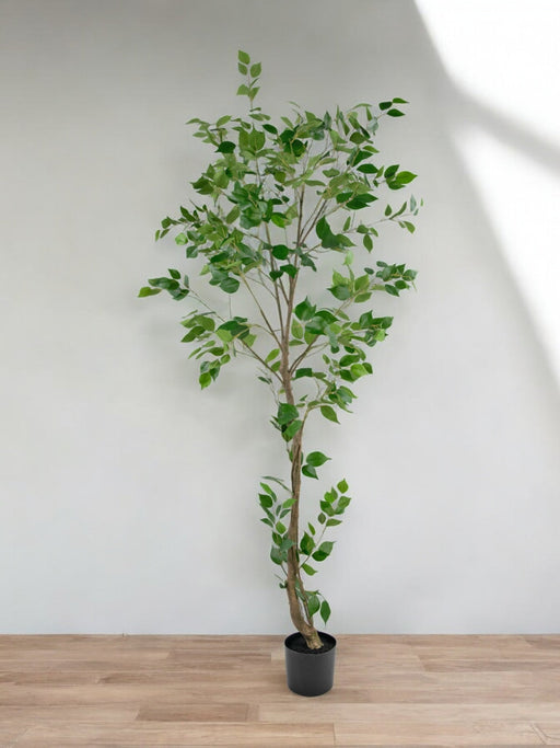 Konstgjord Ficus