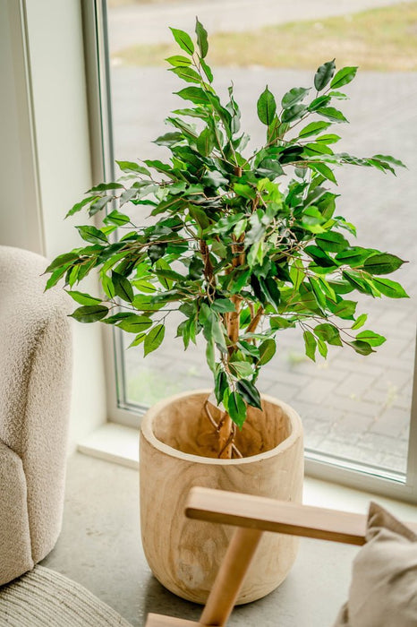 Ficus Benjamina - Konstgjorda Träd