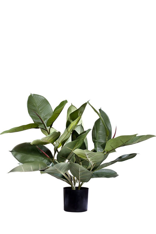 Ficus Elastica Rubber - Konstgjord Grön Växt