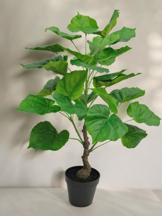 Ficus - Stor Konstgjord Växt