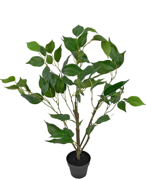 Ficus - Stor Konstgjord Växt