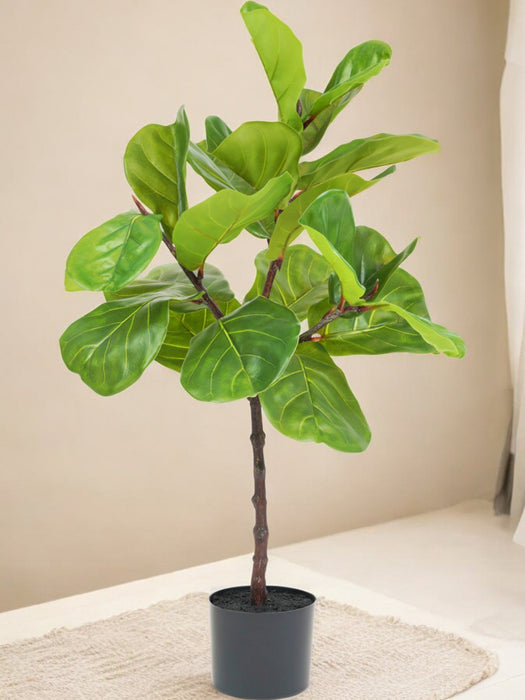 Ficus Lyrata - Stor Konstgjord Växt