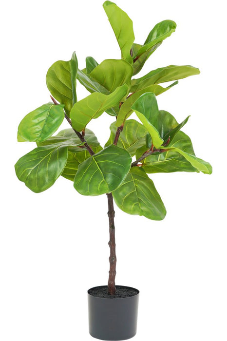 Ficus Lyrata - Stor Konstgjord Växt