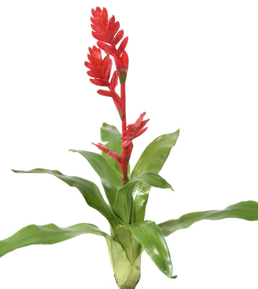 Konstgjord Blomma Bromelia Röd 55Cm Dekoration