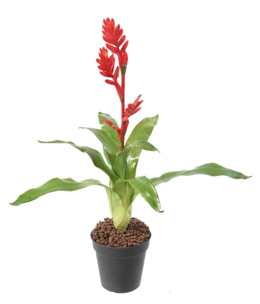 Konstgjord Blomma Bromelia Röd 55Cm Dekoration