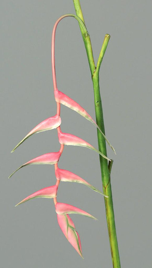 Konstgjord Blomma Heliconia Pendula Rosa 116Cm