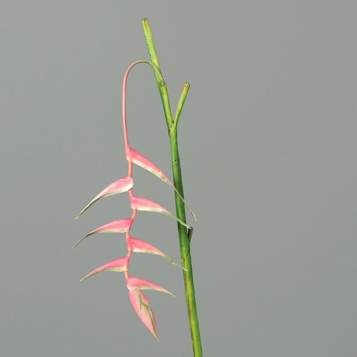 Konstgjord Blomma Heliconia Pendula Rosa 116Cm