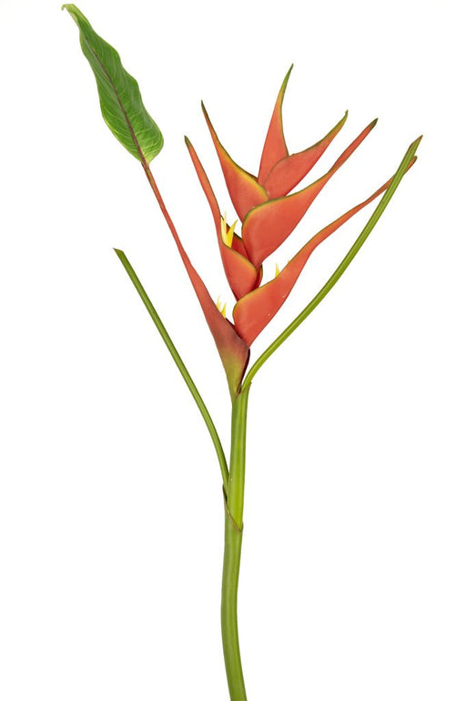 Konstgjord Blomma Heliconia Röd