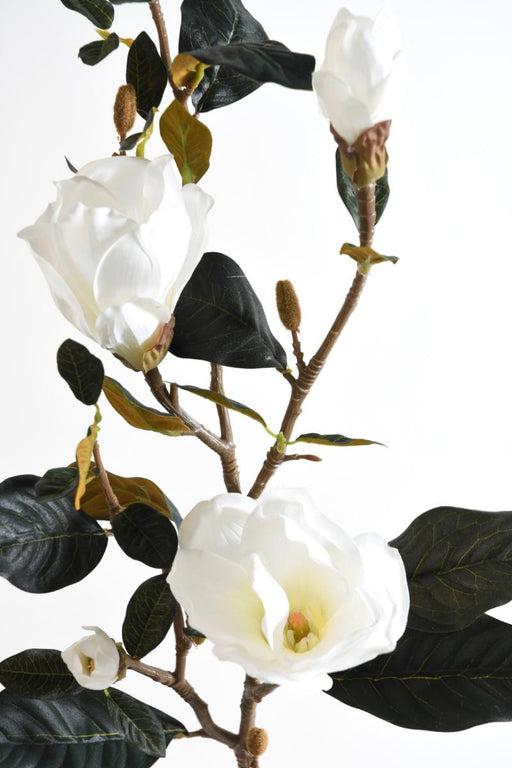 Konstgjord Blomma Magnolia 100Cm Vit 2 Blommor 2 Knoppar