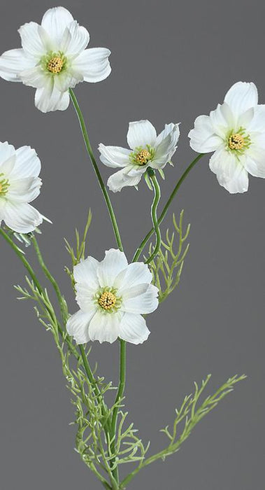 Artificiell Cosmos Flower Cream 67 Cm Blomsterarrangemang