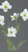 Artificiell Cosmos Flower Cream 67 Cm Blomsterarrangemang