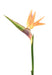 Konstgjord Strelitzia Blomma Orange 80Cm Dekoration