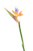 Konstgjord Strelitzia Blomma Orange 80Cm Dekoration