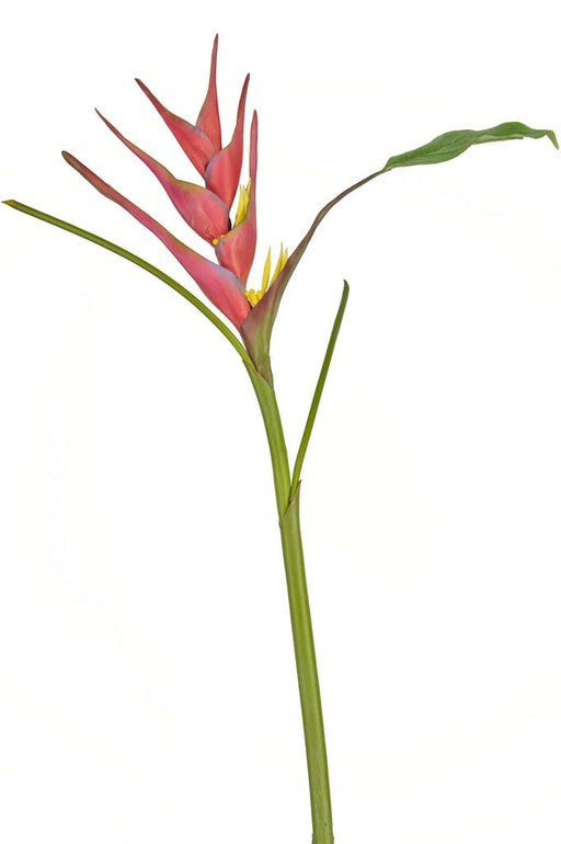 Konstgjord Blomma Heliconia Fuchsia