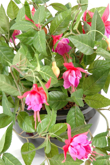 Konstgjord Fuchsia På Stake 25 Cm Inredning