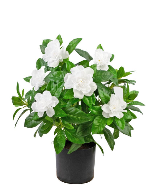 Vit Konstgjord Gardenia